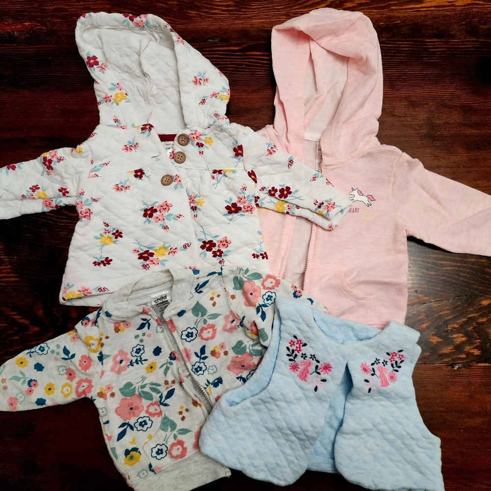 Baby Girl Clothing Bundle